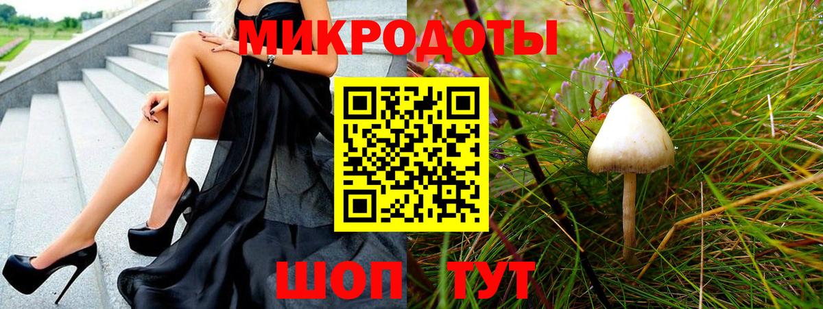 Галлюциногенные грибы Psilocybine cubensis Ижевск